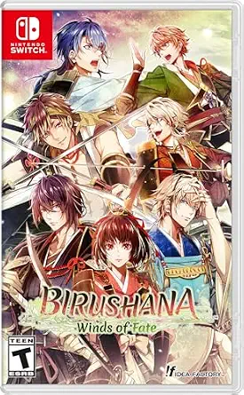 Birushana: Winds of Fate cover art